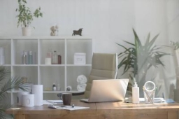 Ferida No Couro Cabeludo: Causas de coceira e feridas no couro cabeludo em adultos imunidade baixa e oleosidade.